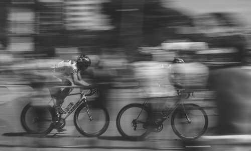 A random image from picsum.photos